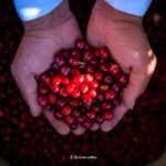 صور منتجات (7)